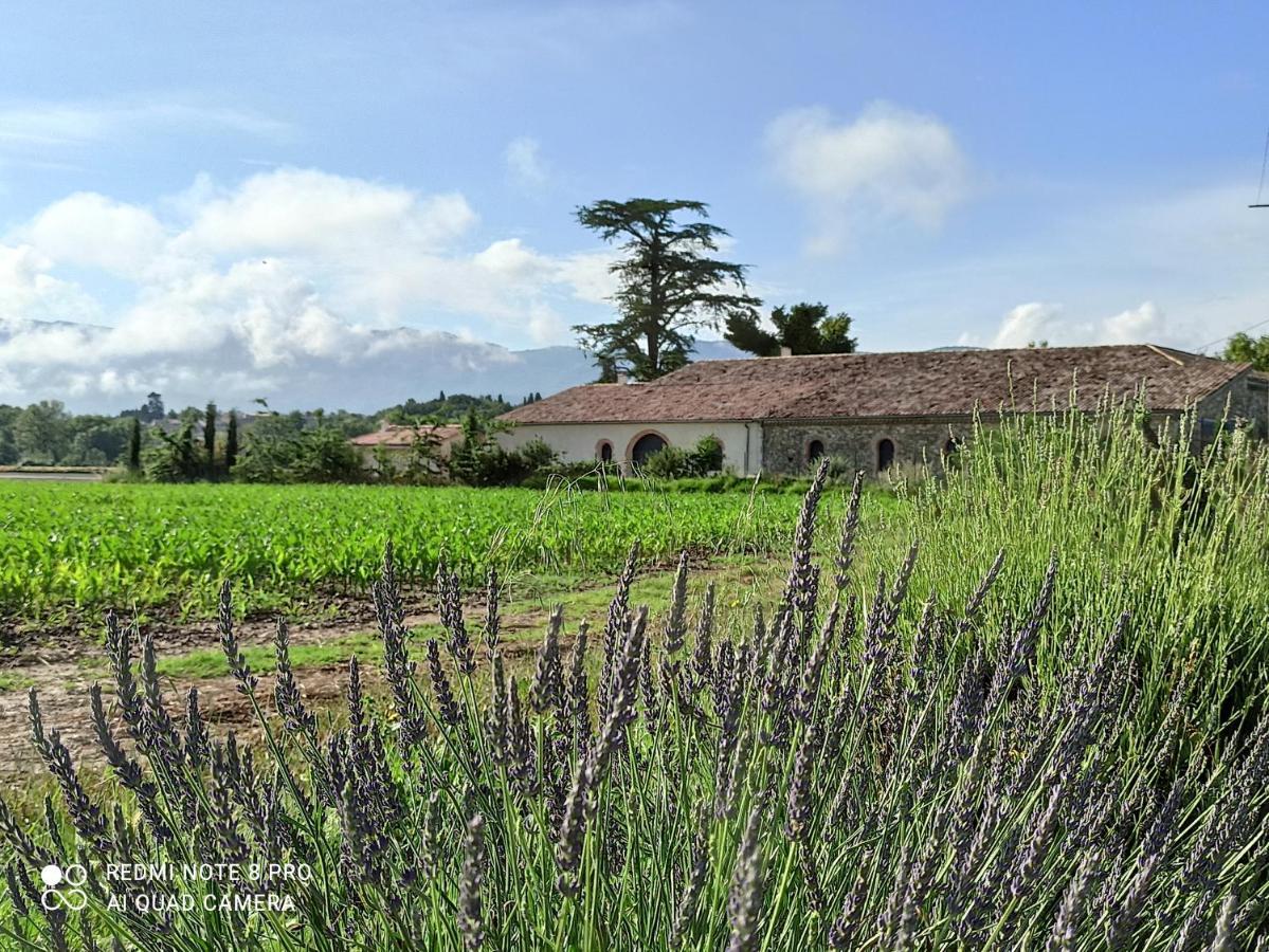 La Boheme Bed and Breakfast Charols Buitenkant foto